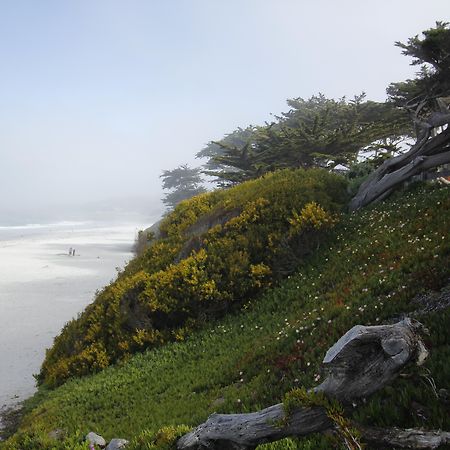 Hotel Le Petit Pali At Ocean Ave Carmel-by-the-Sea Exteriér fotografie