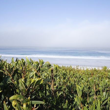 Hotel Le Petit Pali At Ocean Ave Carmel-by-the-Sea Exteriér fotografie