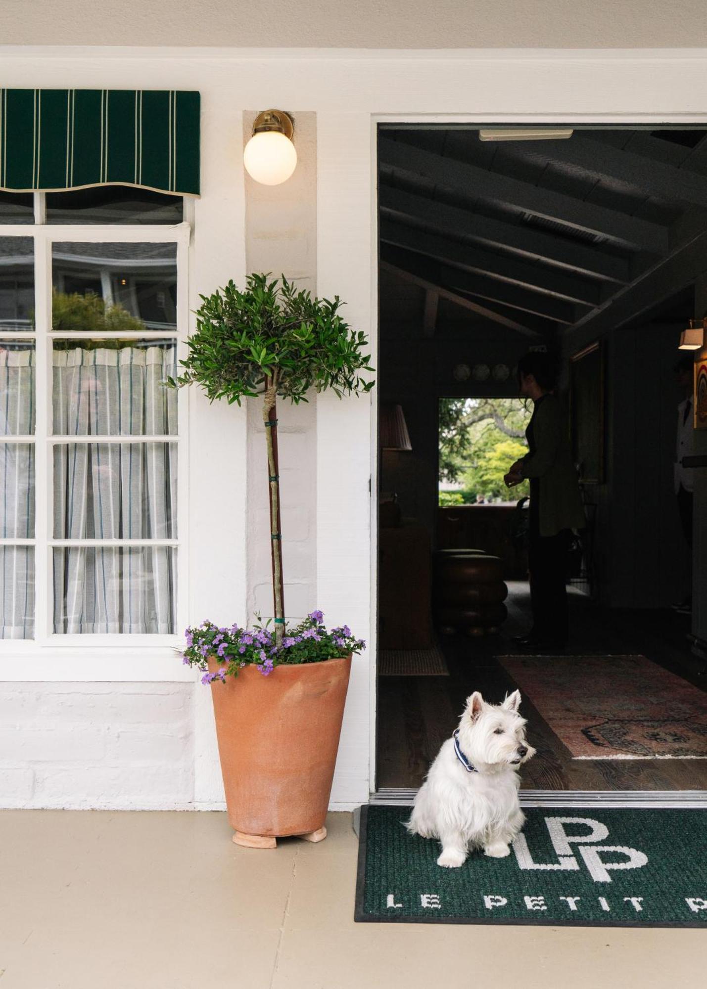 Hotel Le Petit Pali At Ocean Ave Carmel-by-the-Sea Exteriér fotografie