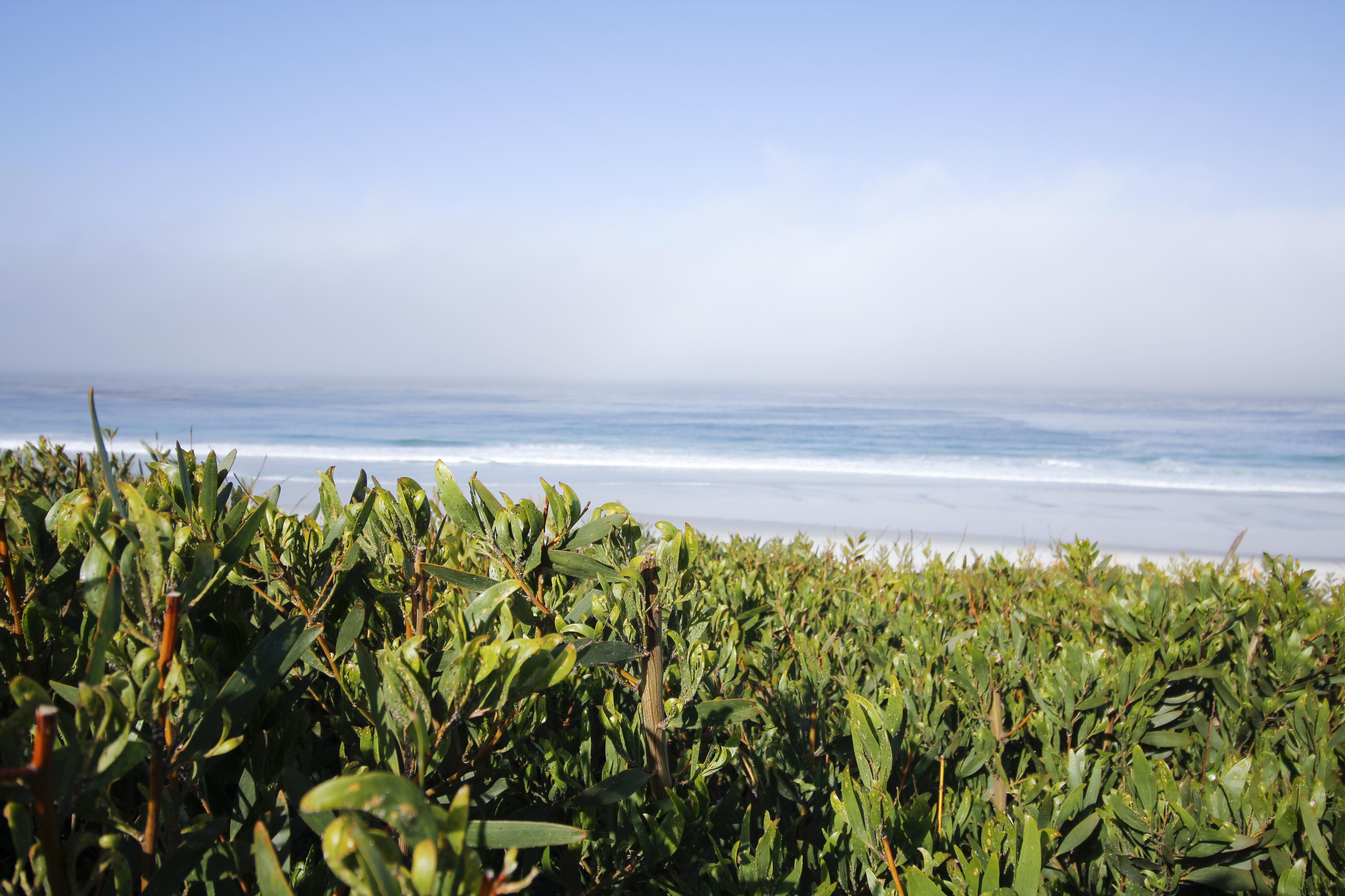 Hotel Le Petit Pali At Ocean Ave Carmel-by-the-Sea Exteriér fotografie